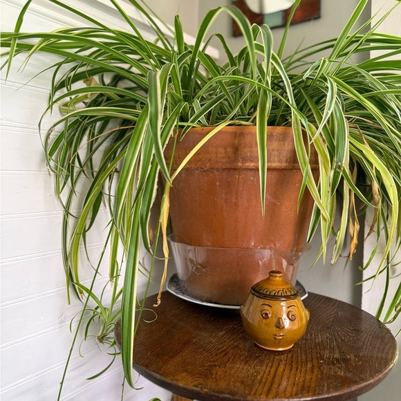 Handcrafted Brown Ceramic Face Jar - Picture 11 of 12